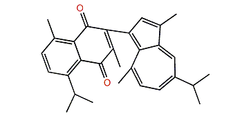 Anthogorgiene E